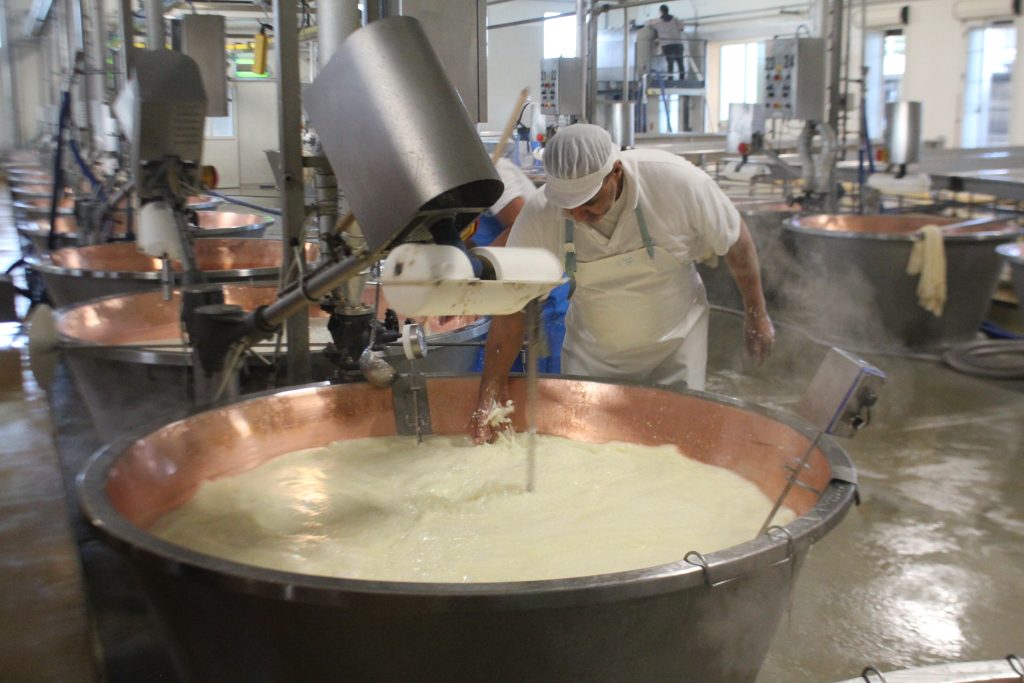 Scoprire i segreti che ci sono dietro a una forma di Parmigiano Reggiano e la cura con cui il maestro casaro segue passo passo ogni momento della produzione. Una visita di gusto che si conclude con un assaggio che mette a confronto diverse stagionature di Parmigiano