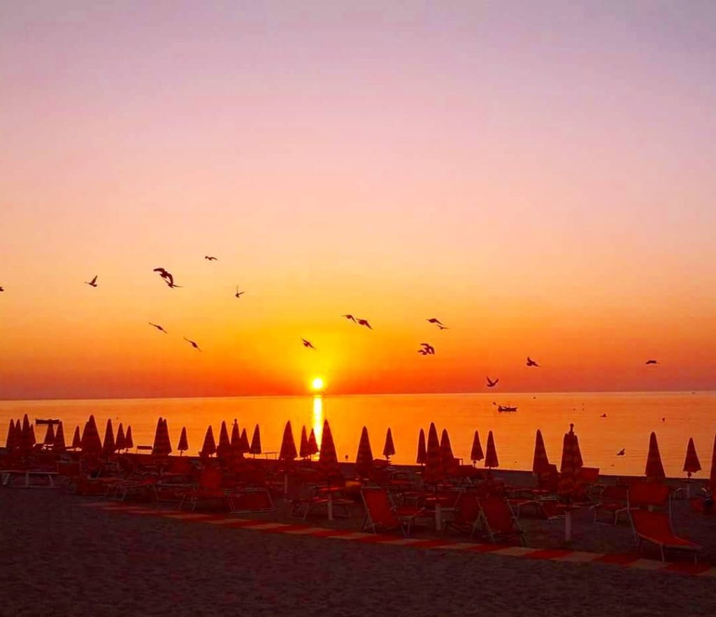 svegliarmi prestissimo per assaporare tutta la bellezza del risveglio degli uccelli in un'alba dai colori spettacolari