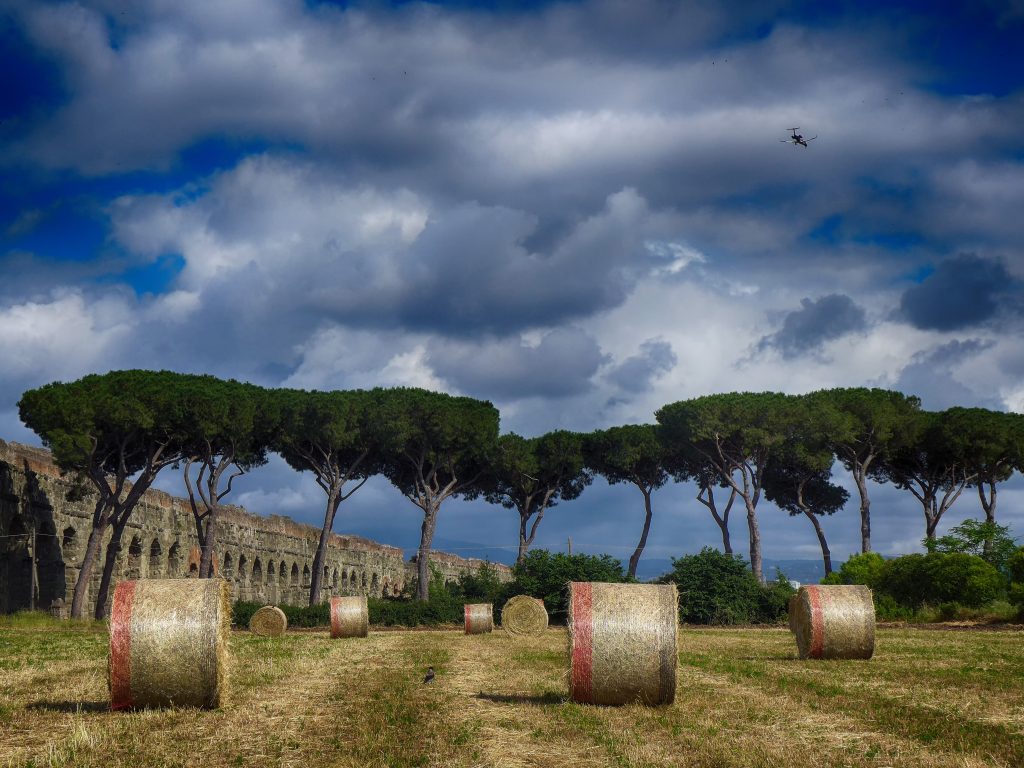 Ammirare la bellezza della natura ! ciò mi rilassa e mi rigenera