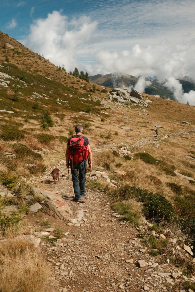 La montagna che cura senza rumore e ci rimette al centro di ciò che conta: il nostro legame con la natura.