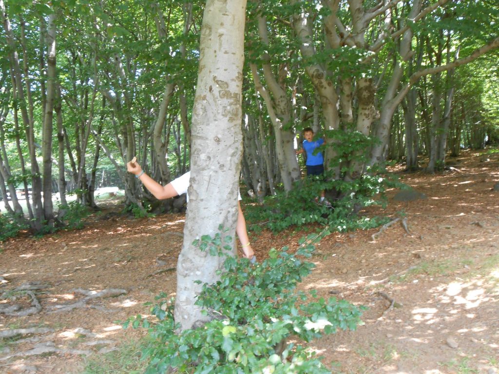 giocare nella natura!