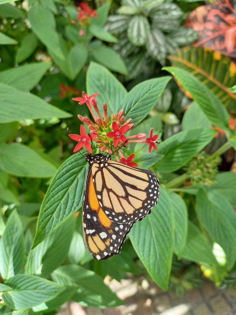 La natura è una meraviglia da vivere !!!!!