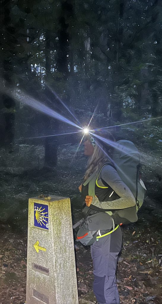 Il mio Benessere e’ sul Cammino di Santiago
“Stamattina sono partita presto e mi sono immersa nei suoni della natura.
Ho camminato in solitaria e nei 25 km di questa tappa ho vissuto la FATICA FISICA come una medicina per l’anima. In questi casi avviene un meccanismo molto semplice:spostando  l’attenzione sul CORPO, si alleggerisce la MENTE”