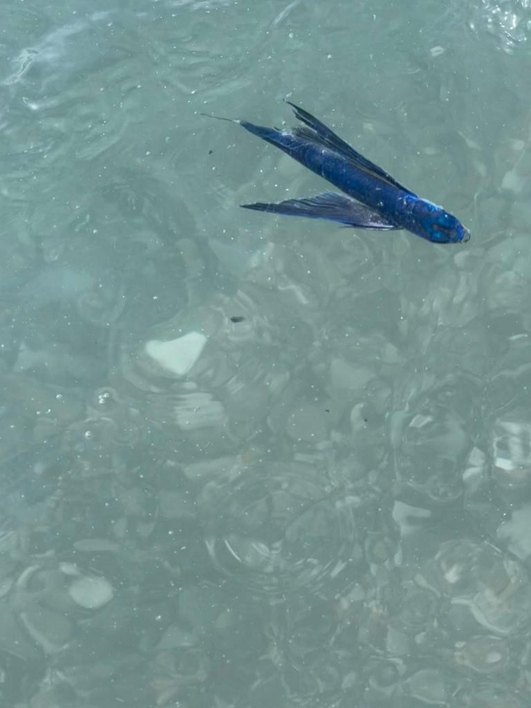 #il mio benessere non smettere mai di stupirmi con la natura#