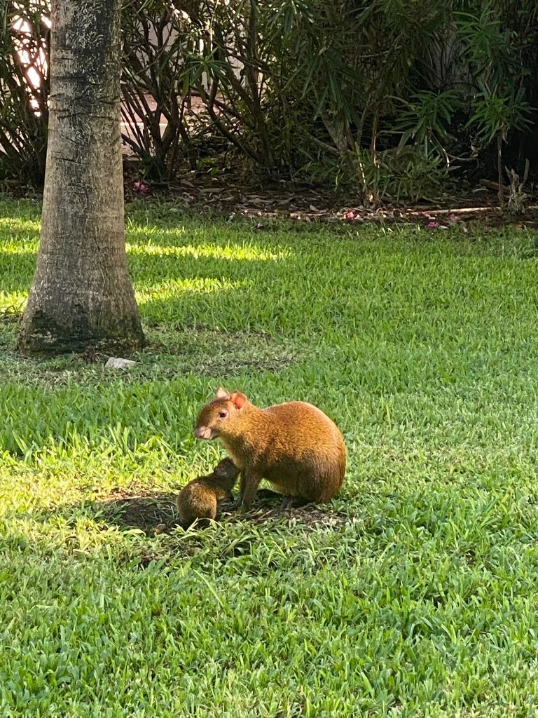 amare la natura e gli animali, abbiamo molto da imparare ....