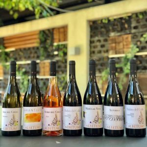 I migliori vini Italiani