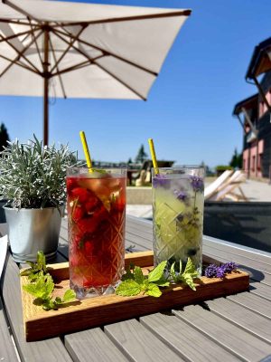 Terme Zreče e Rogla