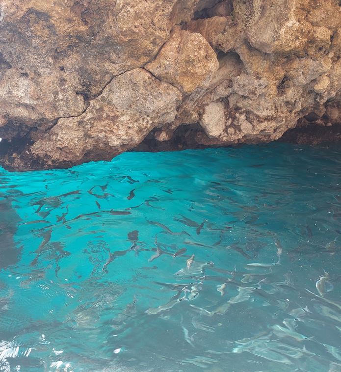 Il mio benessere è sentirmi in perfetta armonia con la natura, il mare e le creature acquatiche