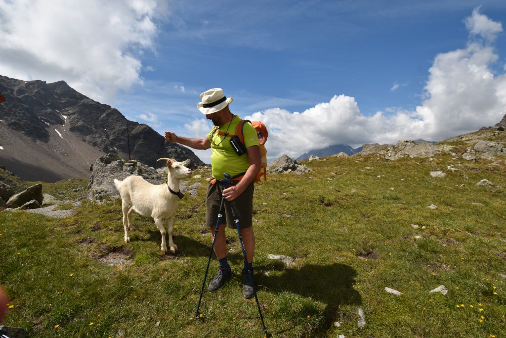 stare sospesi tra terra e cielo nella natura. Godere di ogni piccola emozione che incontriamo camminando. Essere grati di ciò che ci circonda con semplicità e naturalezza.