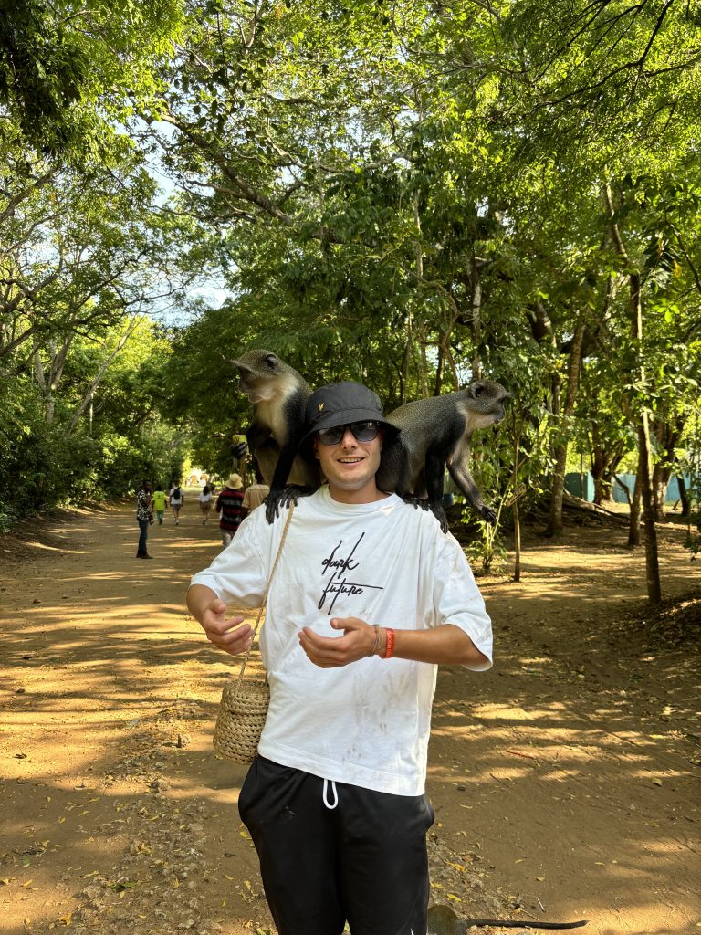 Il mio benessere è stare con le scimmiette