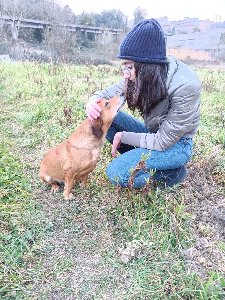 capirsi con uno sguardo: quando trovi un amico trovi un tesoro.