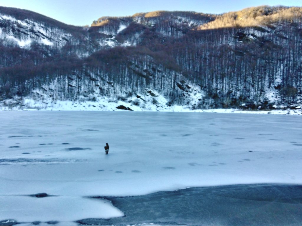 Condividere momenti di relax nella natura insieme al proprio amico a 4 zampe❤️