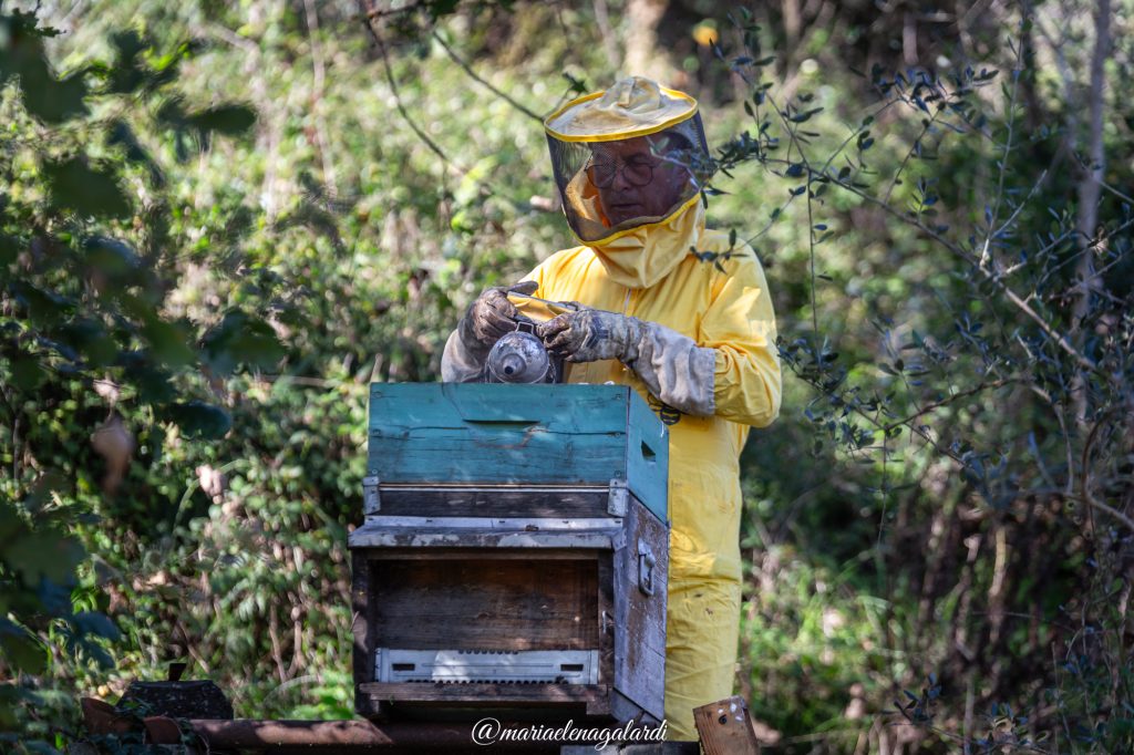 Nutrirsi con alimenti semplici e naturali come il miele, il massimo se è prodotto a km 0 da persone fidate e conosciute, come il mio amico Umberto, che nel suo terreno ospita alcune arnie e produce un ottimo miele per la sua famiglia e un po' anche per gli amici ;-)