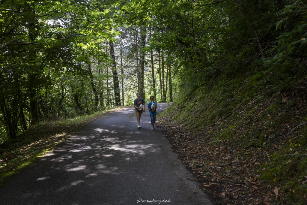 visitare e vivere in piccoli borghi, dove la vita scorre lenta e senza orari. Camminare nel silenzio del bosco.