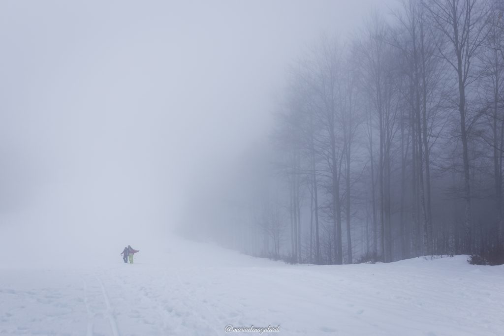 immergersi nella natura quando non c'è nessuno: neve, silenzio e relax.