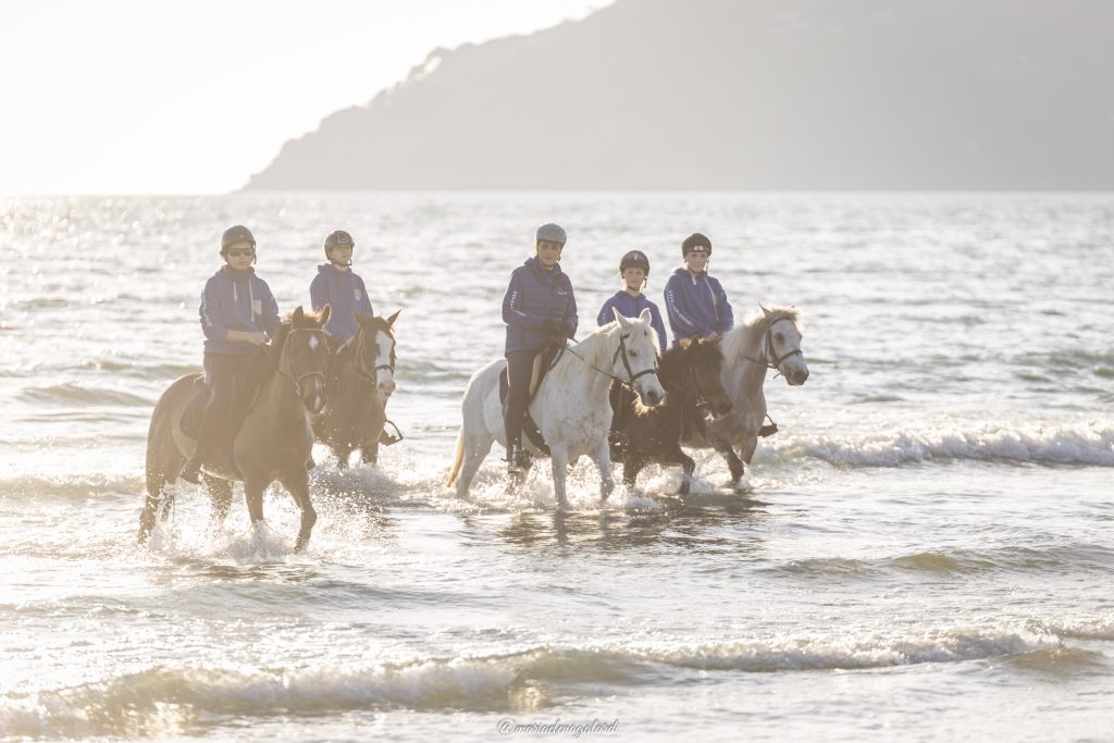 condividere le passioni con gli amici. Una rigenerante cavalcata sulla spiaggia al tramonto, cosa c'è di più bello?