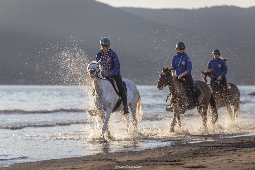 galoppare al tramonto sulla spiaggia.