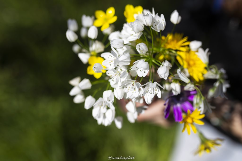 gesti semplici come raccogliere un mazzolino di fiori di campo insieme a mia figlia.