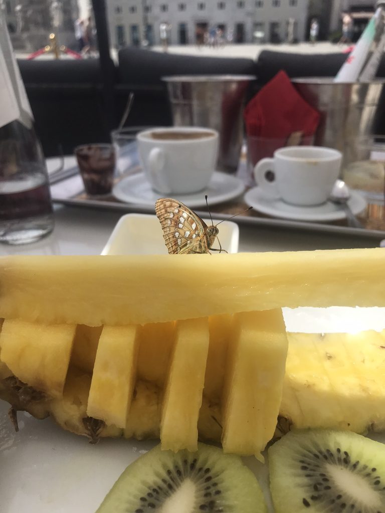 “Facciamo colazione insieme?”