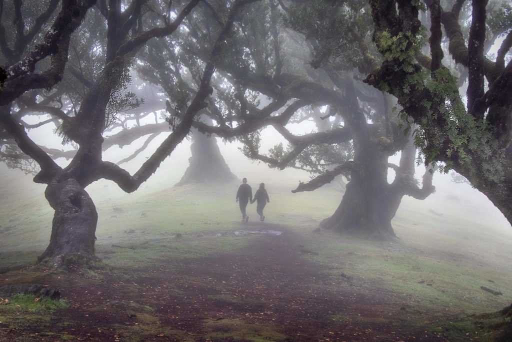un'alchimia di mistero e natura, un'immersione tra le nebbie di un'atmosfera fatata dove il tempo si dilata e la realtà si fonde con la magia trasformandosi in sogno, regalando ad ogni passo una scoperta inattesa