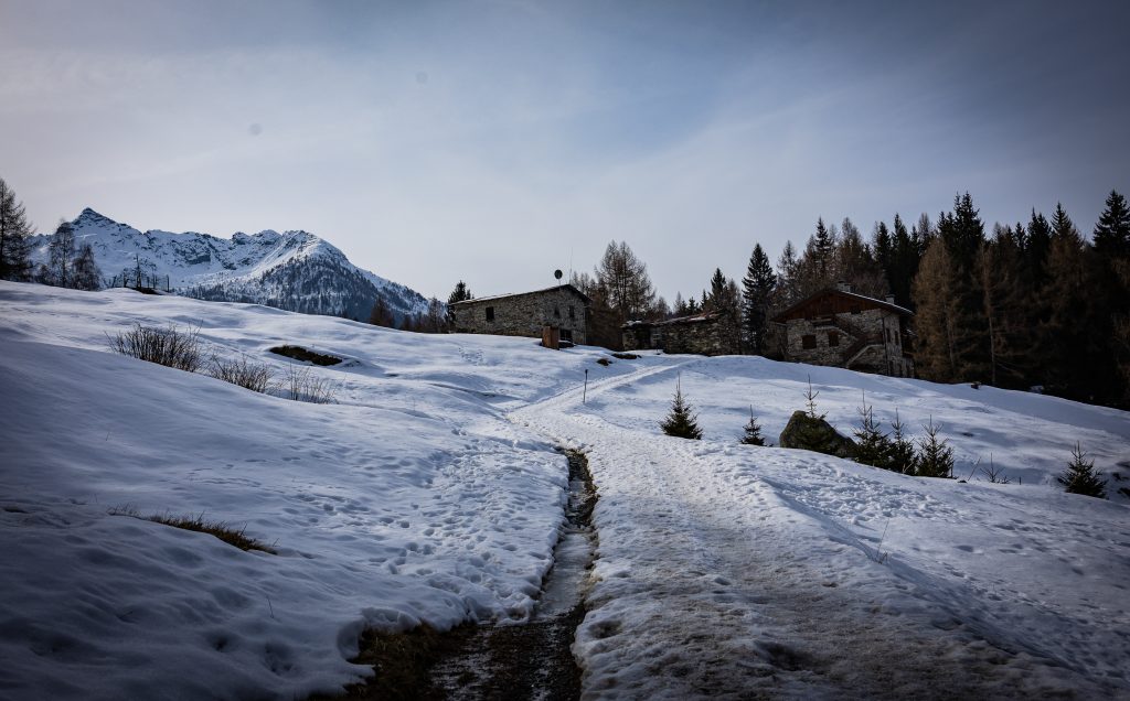 una passeggiata nella neve tra le montagne che mi hanno vista crescere anno per anno.
Ci sono luoghi che possono essere considerati casa, non perché ci si vive quotidianamente, ma per i ricordi a cui sono legati.