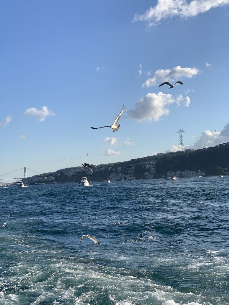 Immerso nella natura e nella cultura dei vari paesi