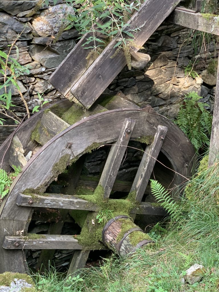 Scoprire luoghi nuovi dove vivo, e i dettagli che offrono!