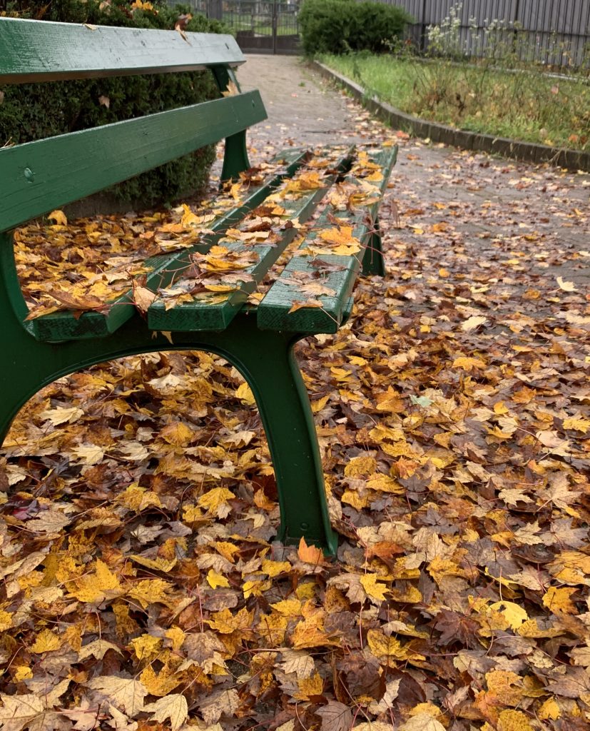 Passeggiate autunnali con il sole che ti scalda dal freddo di novembre :)