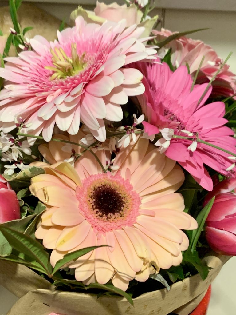 La natura ed i fiori con i suoi colori!