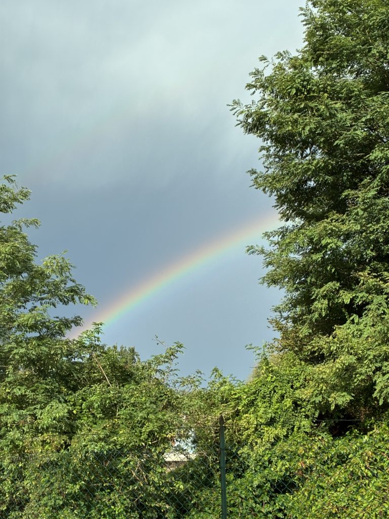 Ammirare tutto quello che offre la natura