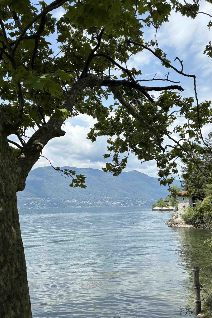 Immergermi nella natura, lago alberi e passeggiate!