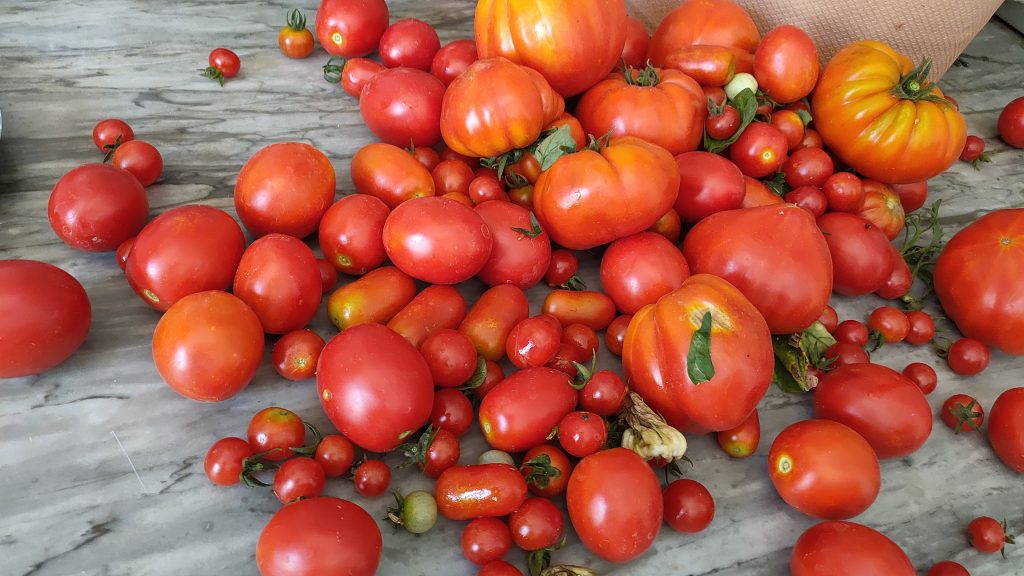 Il mio benessere è....pomodori del mio orto