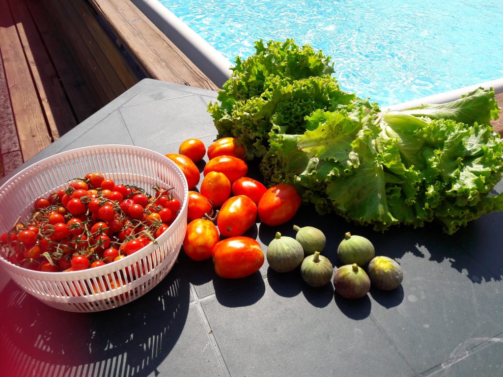 Il mio benessere è alimentazione sana ed equilibrata