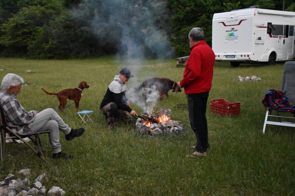 CAMPER, AMICI, CANI NELLA NATURA