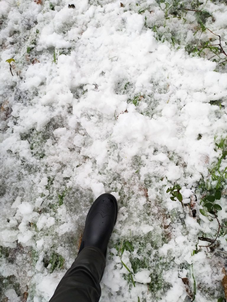 Andare in cerca della prima neve!
