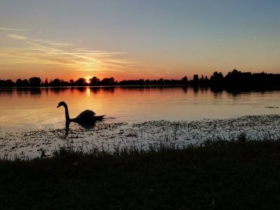 ammirare la natura...