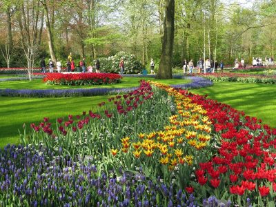Parco Keukenhof Olanda - foto Elisa Gonfiantini