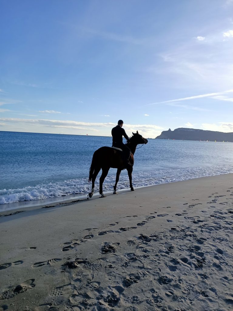 In riva al mare a dorso del mio cavallo.