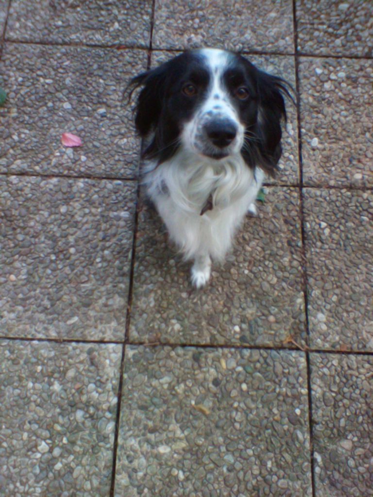 avere accanto un amico disinteressato.