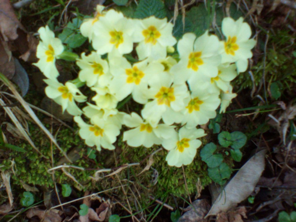 guardare la natura spettacolare.