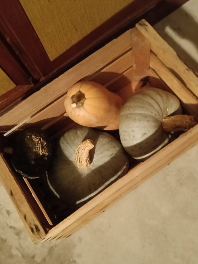 Mangiare prodotti di stagione.