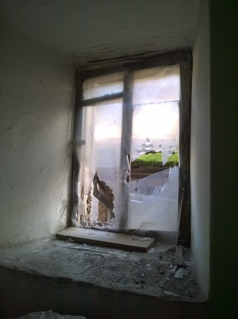 non pensare troppo al dolore e alla sofferenza nel mondo.