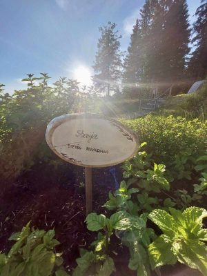 Terme Zreče e Rogla