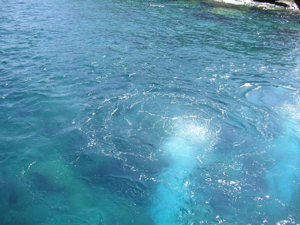 #il mio benessere meraviglie del mare