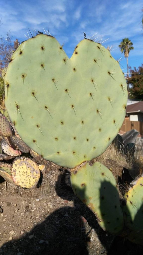 Stupirmi ogni volta dinnanzi alle meraviglie che la natura ci offre..