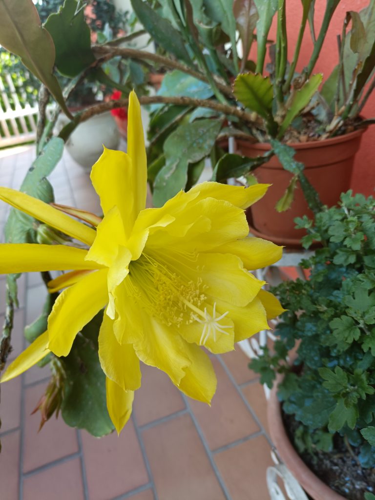 Ammirare e godere dei doni preziosi che la natura ci dona.