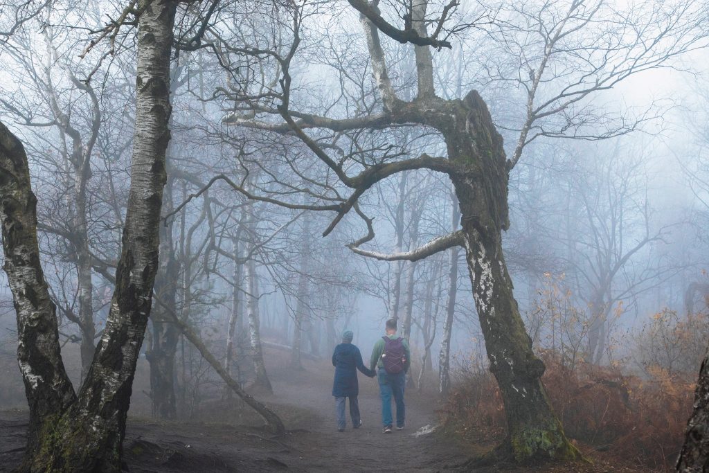 perdermi nei boschi silenziosi
