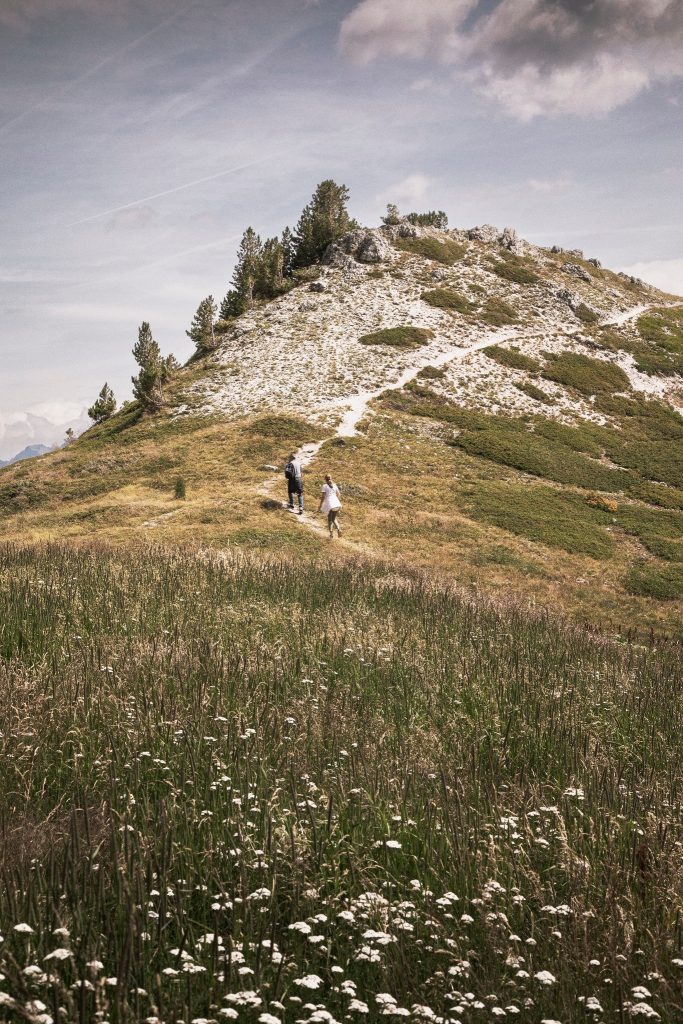 una passeggiata nel verde, tra i fiori