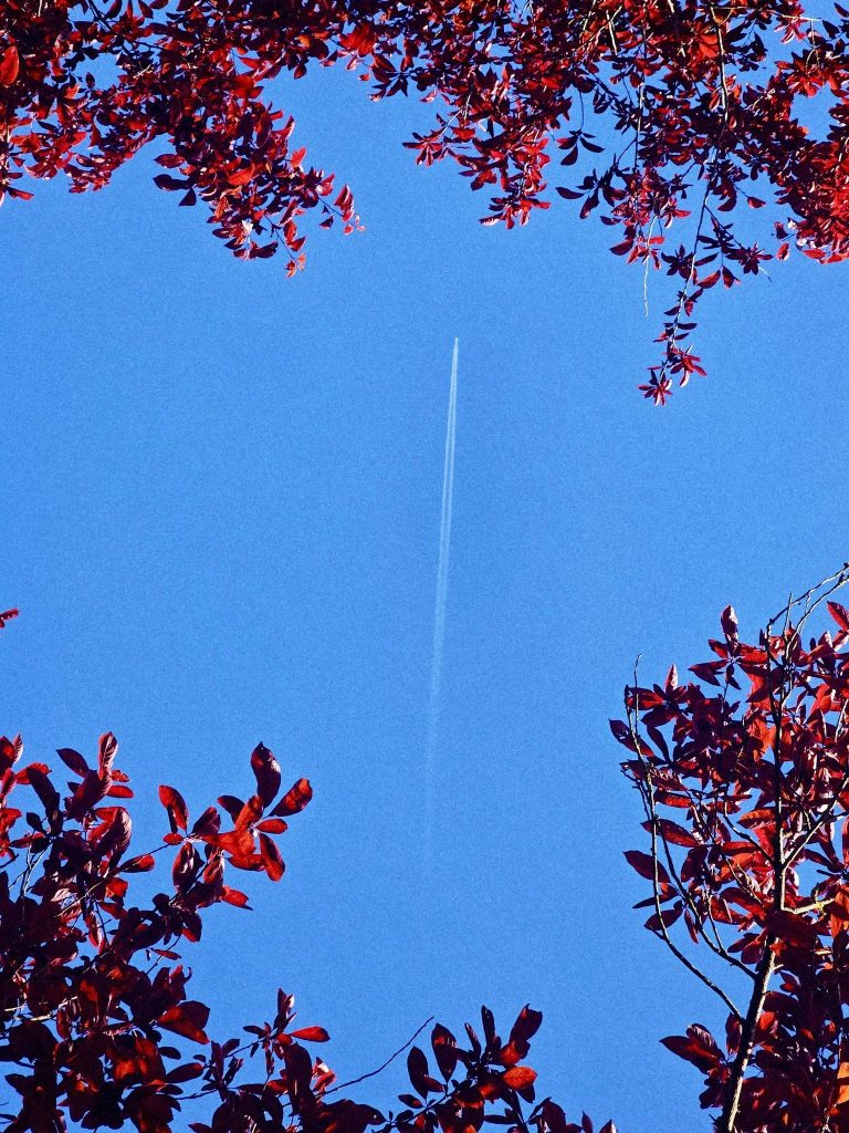 viaggiare, con la mente