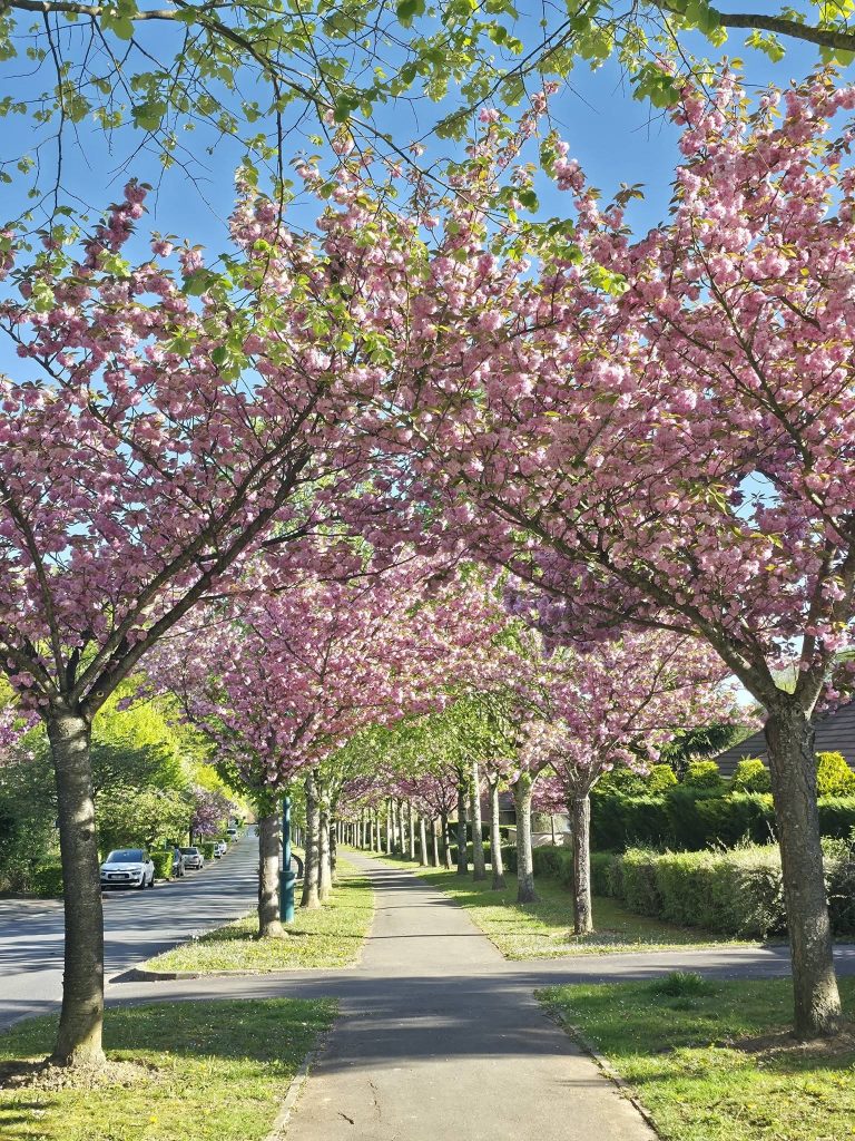 passeggiare tra i viali fioriti e profumati